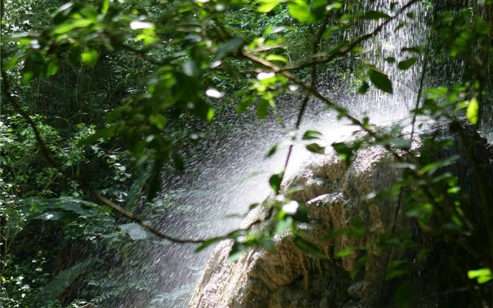 Hacienda El Jibarito Aparthotel San Sebastian Bagian luar foto